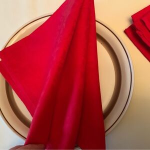 Large Premium Cloth Napkins Set of of 6  (20x20))